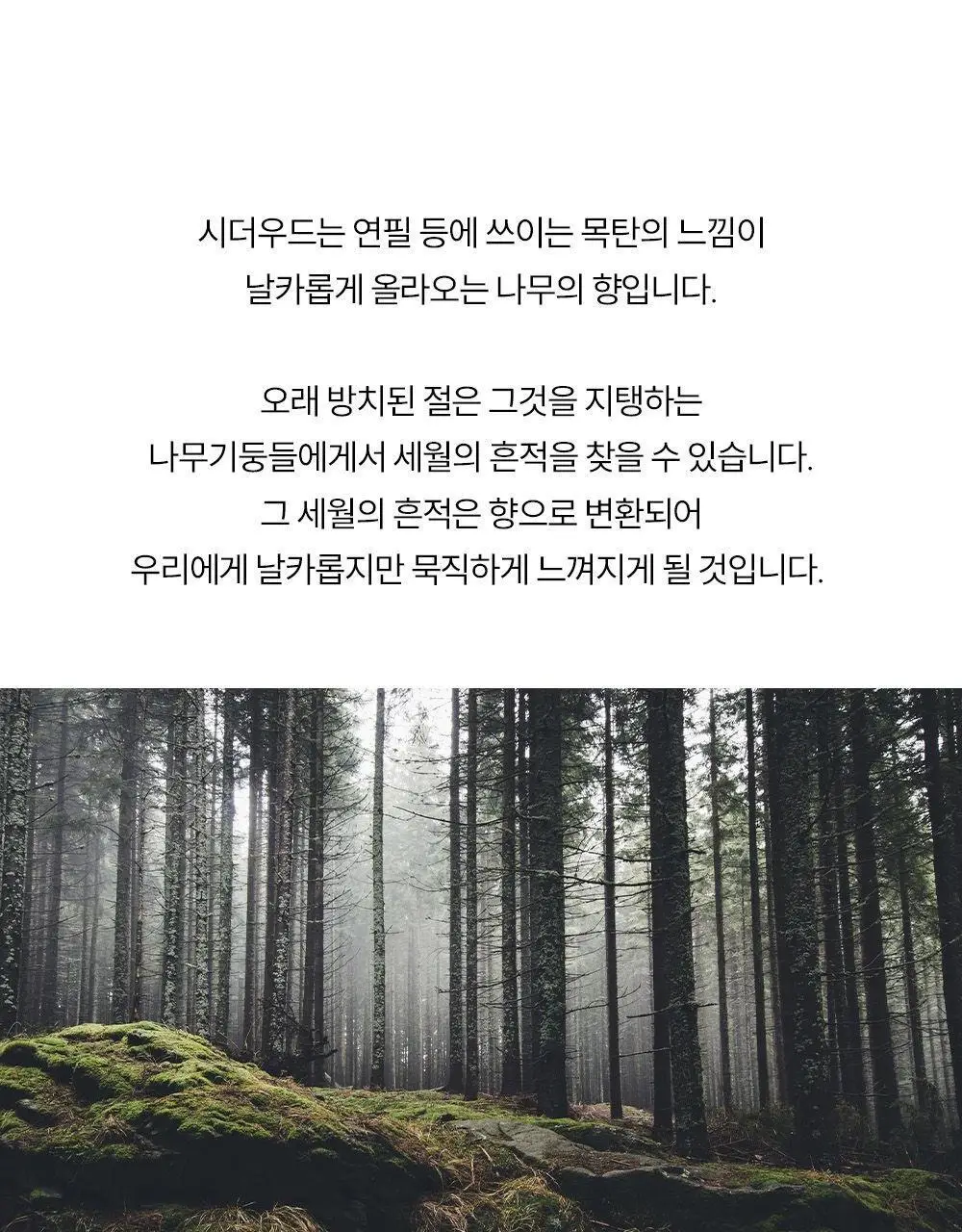 [NEW] 꾸까 슈가 캔들 200g 블랙우디향 상세페이지 10